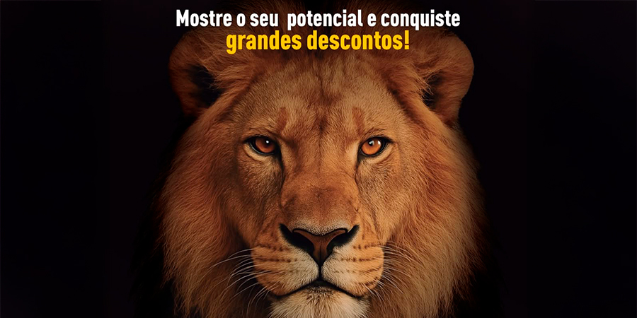 desafio anglo 